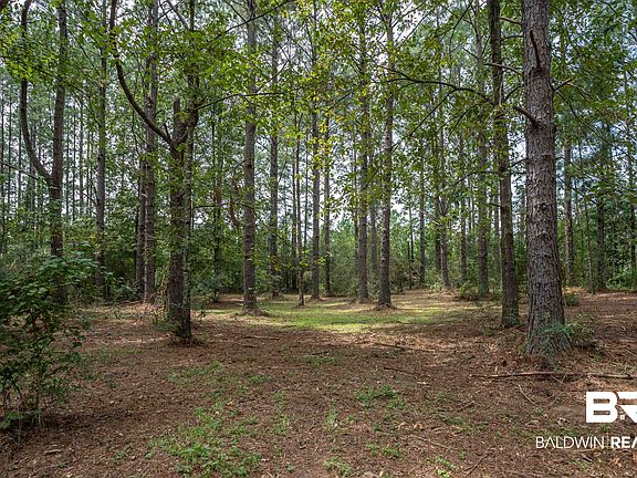 5th image of 23439 Patterson Rd
