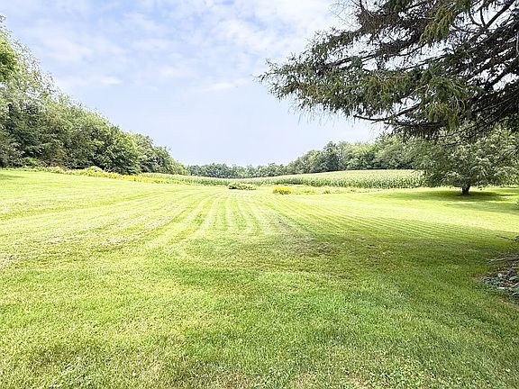 3rd image of 49 Riley Rd