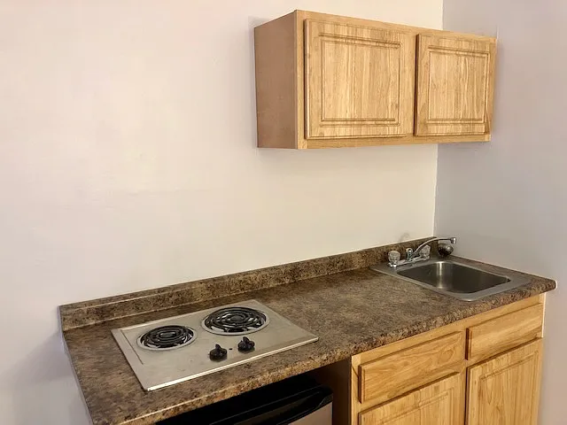 Studio, $2,295 — Photo 4