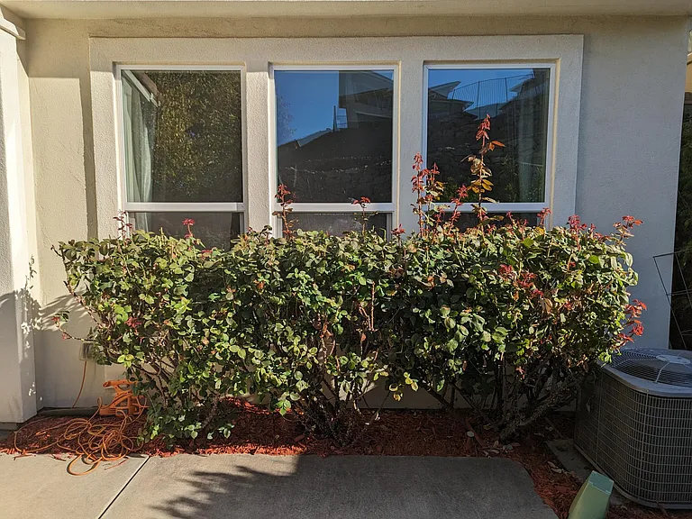 7256 Santorini Way — Photo 8