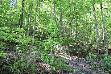 4th image of 0 Mountain Blvd Lot 108