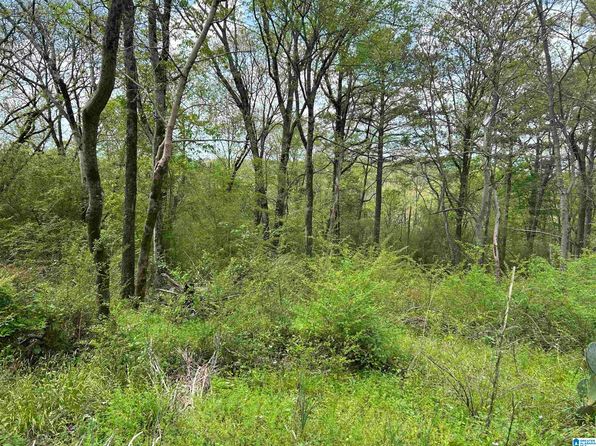 3185 Crest Oval Mountain Rd #18ACRES, Bessemer, AL 35023