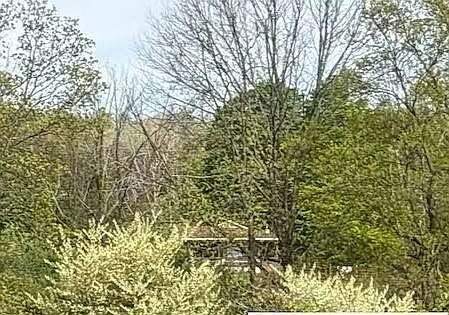 1st image of 823 Greenville Rd