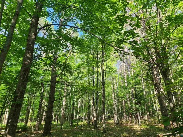 30XXX Sky Rd, Washburn, WI 54891
