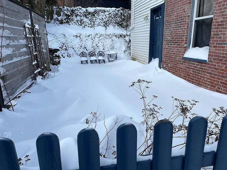 shared side yard/patio space