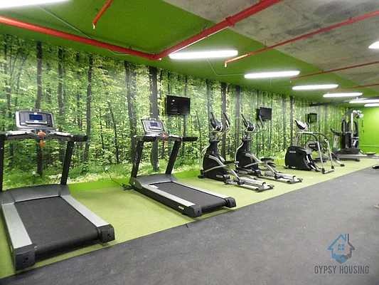 Rented by Gypsy Housing LLC | media 162