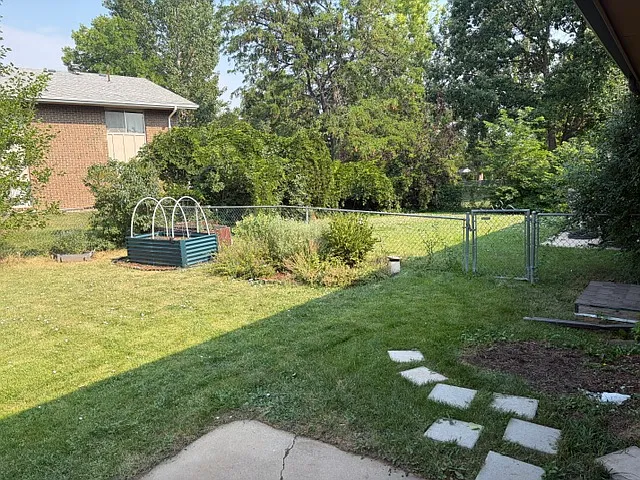 Fenced back yard