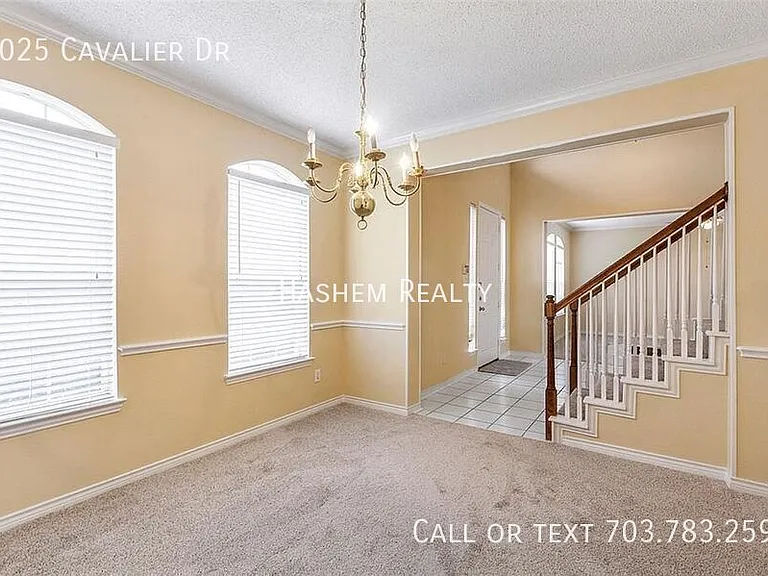 8025 Cavalier Dr — Photo 10