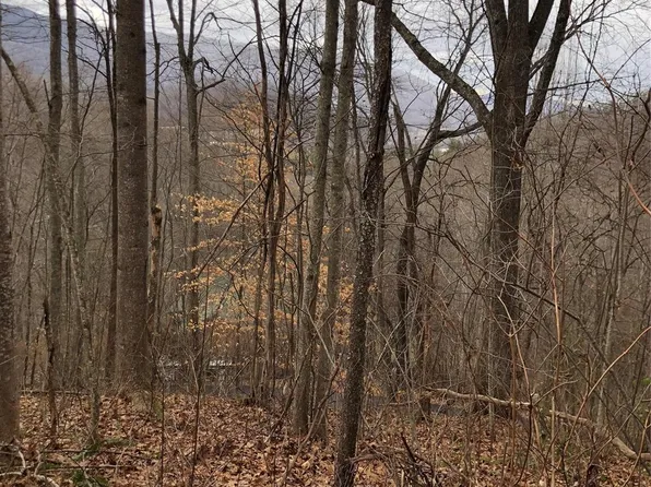 21 Aaron Way, Waynesville, NC 28786