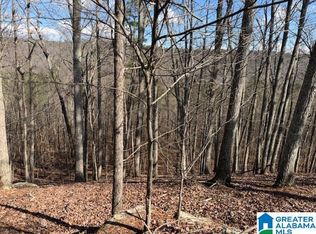 80 Snow Dr, Guntersville, AL 35976