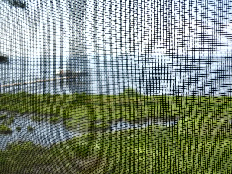 Panoramic View (#2) from Rear Porch