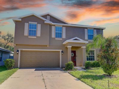 10202 Strawberry Tetra Dr, Riverview, FL, 33578