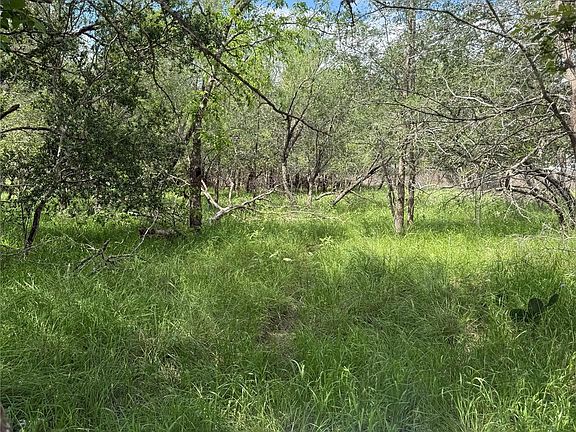 4th image of LOT 200 Nene Ln