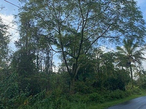 4th image of 16-2409 Ainaloa Dr Lot 62