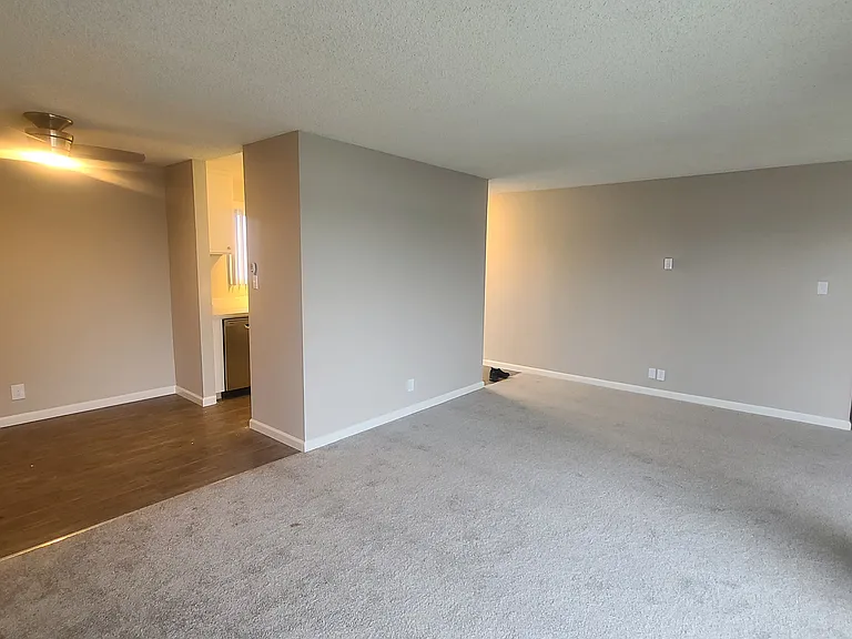 Tropic Sands Apartments — Photo 39