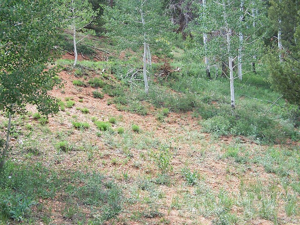 2nd image of 548 W Kokopelli Loop