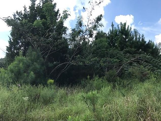 2nd image of 11440 Matherville Rd