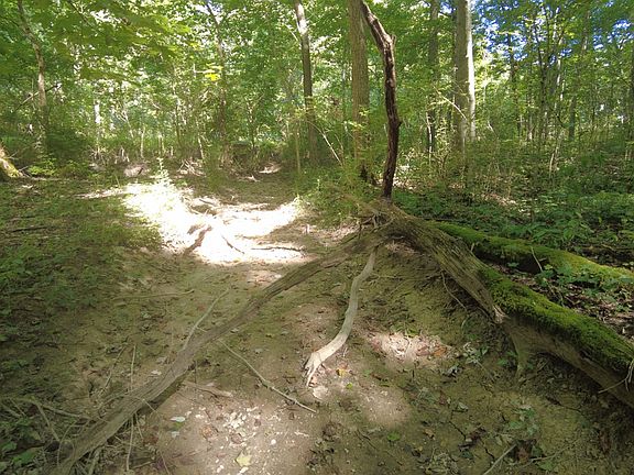 4th image of 16 Black Hollow Rd