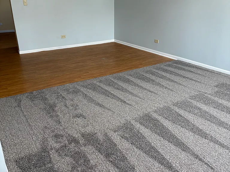 34293 N Birch Ln — Photo 12
