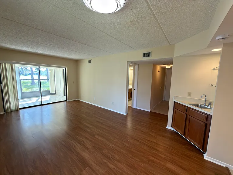 Living room with the lake view and patio