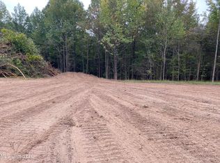 2 Moore Rd, Coldwater, MS 38618