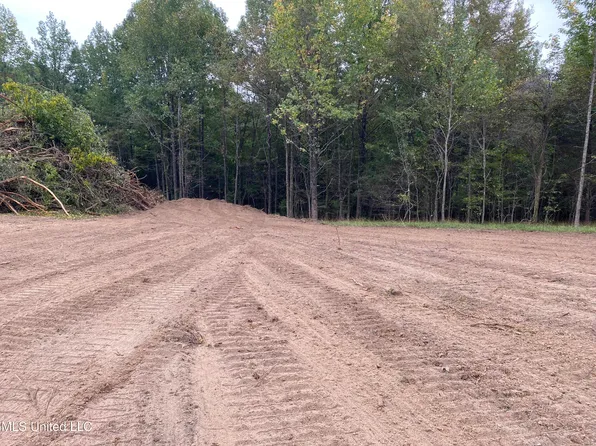 2 Moore Rd, Coldwater, MS 38618