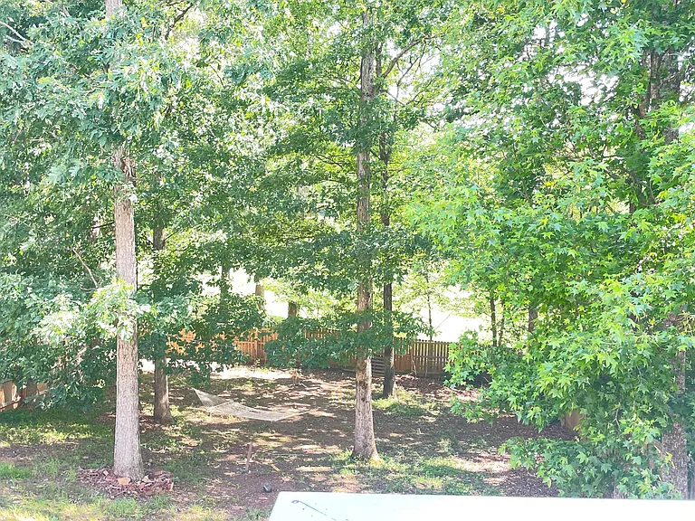6880 Rocking Horse Ln — Photo 12