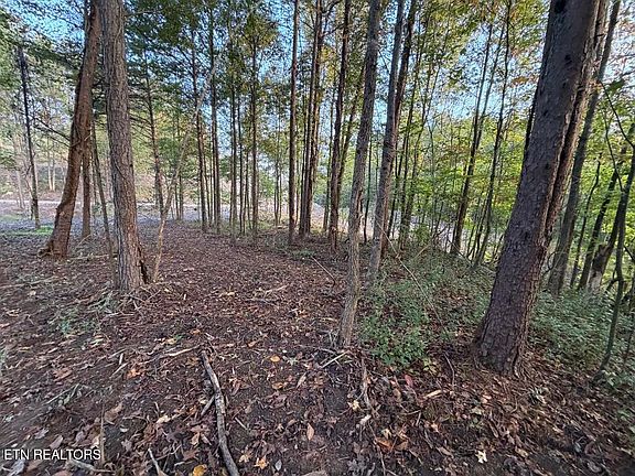5th image of 0 Sled Creek Rd