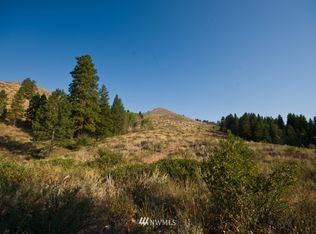 0 Cub Creek Rd #25-PARCEL 4, Winthrop, WA 98862