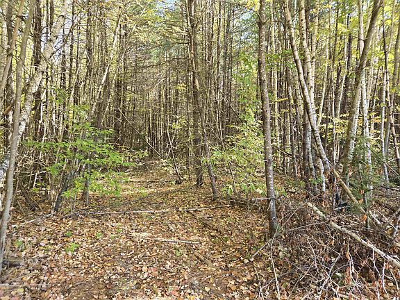 5th image of Cottage Road