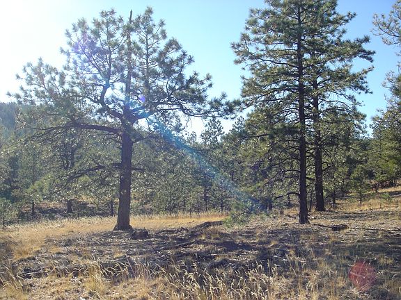 5th image of Mesquite Lane #2082065333