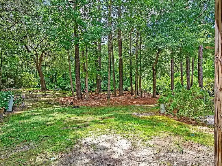 Woods out Back