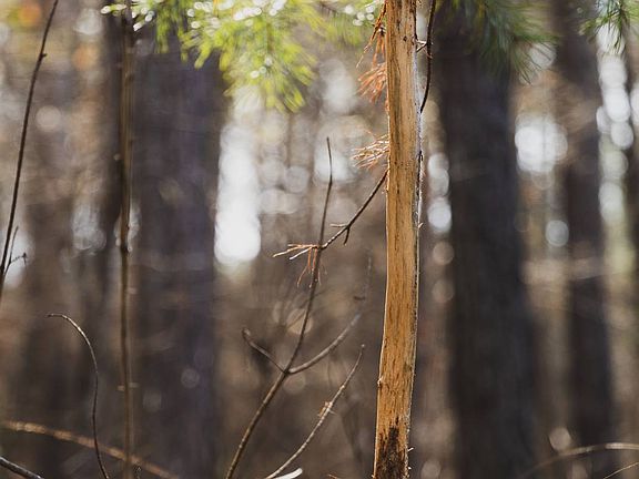 5th image of 0 Calhoun Rd