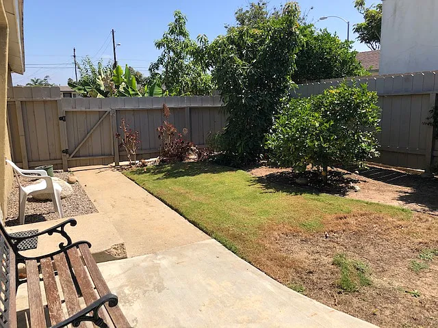 Front Yard