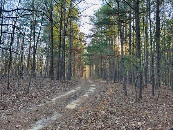 5171 Tucker Mountain Rd, Remlap, AL 35133