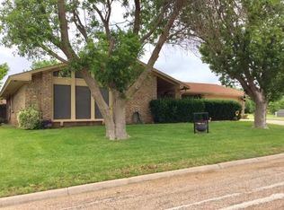 14 Winchester Dr, Albany, TX 76430