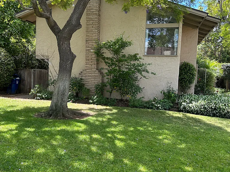 Outside grass area