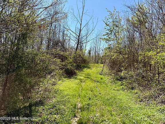 4th image of Brozville Rd