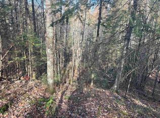 Wagner Vogt Rd, Butternut, WI 54514