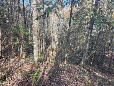 WAGNER VOGT ROAD, Butternut, WI, 54514