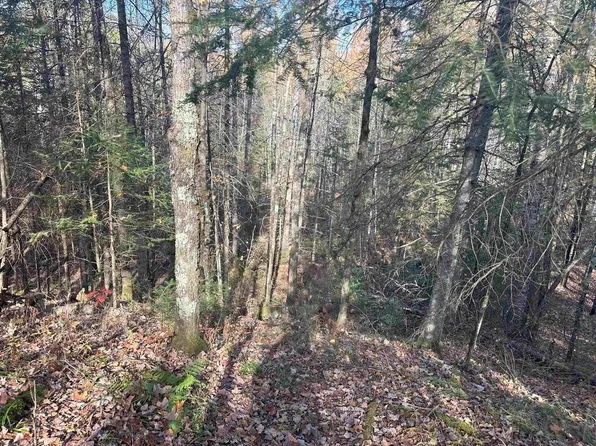 WAGNER VOGT ROAD, Butternut, WI 54514