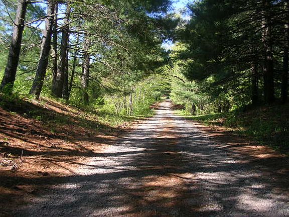 2nd image of 4380 Tunnel Hill Road