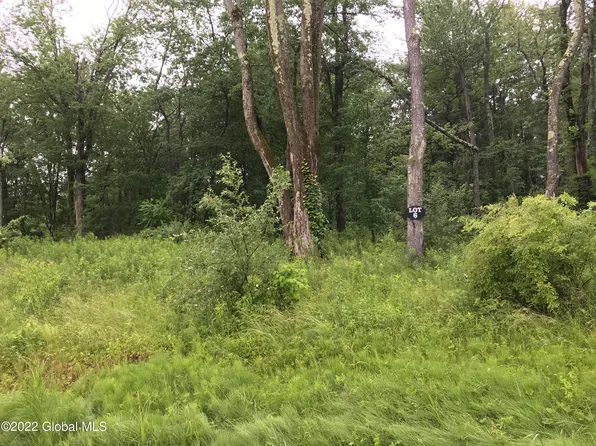 12 Lochvue Drive, Wynantskill, NY 12140