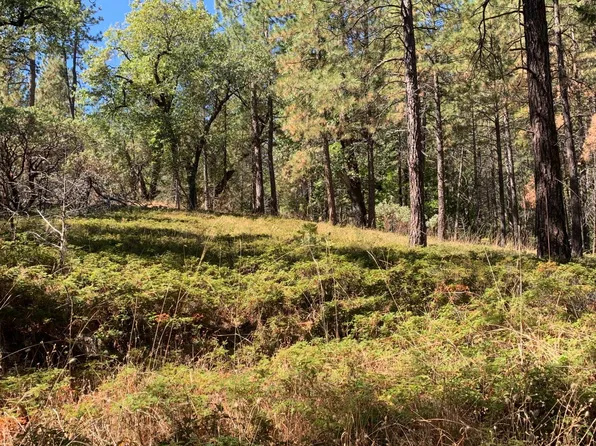 Acres 5 Old Schoolhouse Rd, Somerset, CA 95684