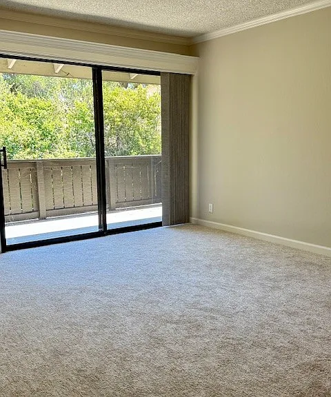 1407 Marchbanks Dr — Photo 12