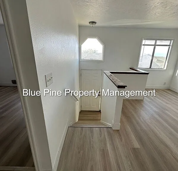 1224 Holman Ave — Photo 3