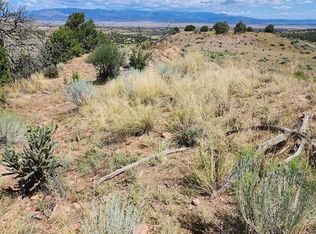 287 Locke Mountain Ter, Florence, CO 81226