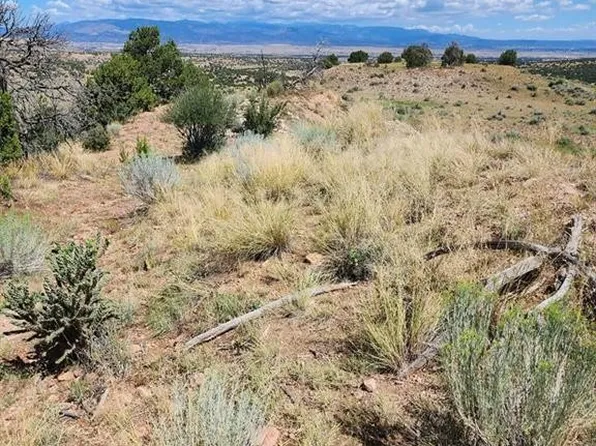 287 Locke Mountain Ter, Florence, CO 81226