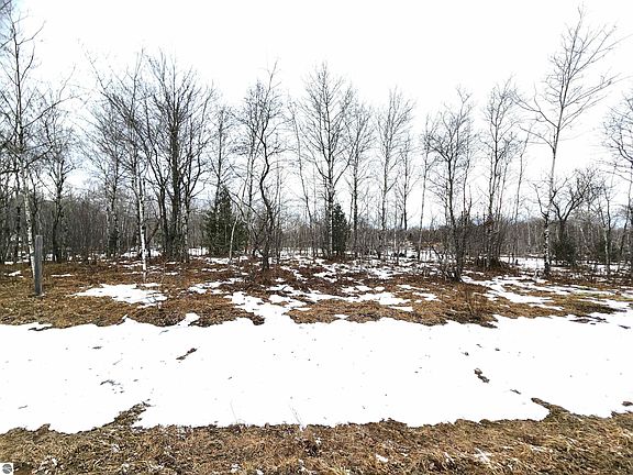 5th image of LOT 489 Manistee Hts #1