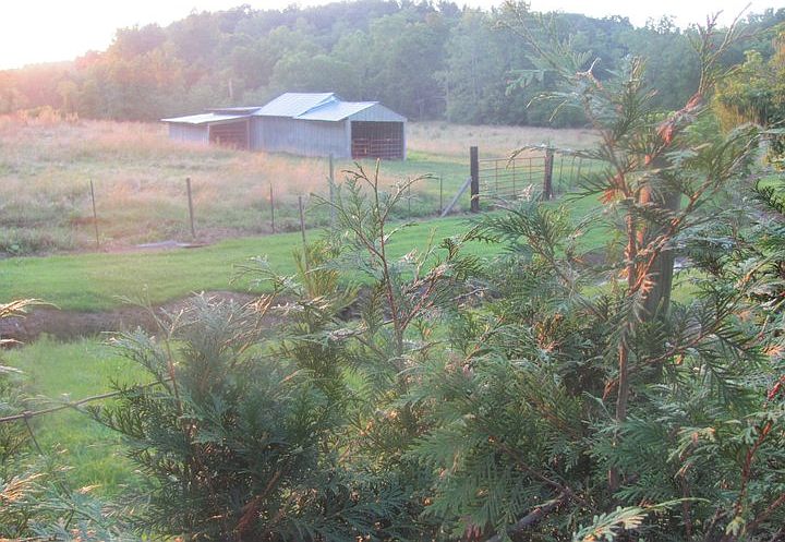 2nd image of 40 Fisher Creek Rd